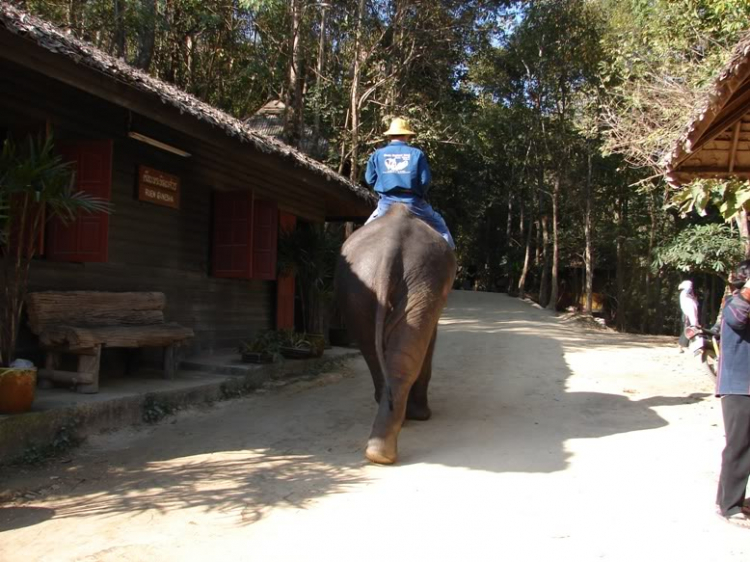 Caravan đến Ayutthaya – Chiang Mai - Bangkok – Koh Kong - 8 ngày! Caravan đến Ayutthaya – Chiang Mai - Bangkok – Koh Kong - 8 ngày!