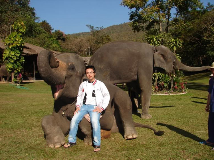 Caravan đến Ayutthaya – Chiang Mai - Bangkok – Koh Kong - 8 ngày! Caravan đến Ayutthaya – Chiang Mai - Bangkok – Koh Kong - 8 ngày!