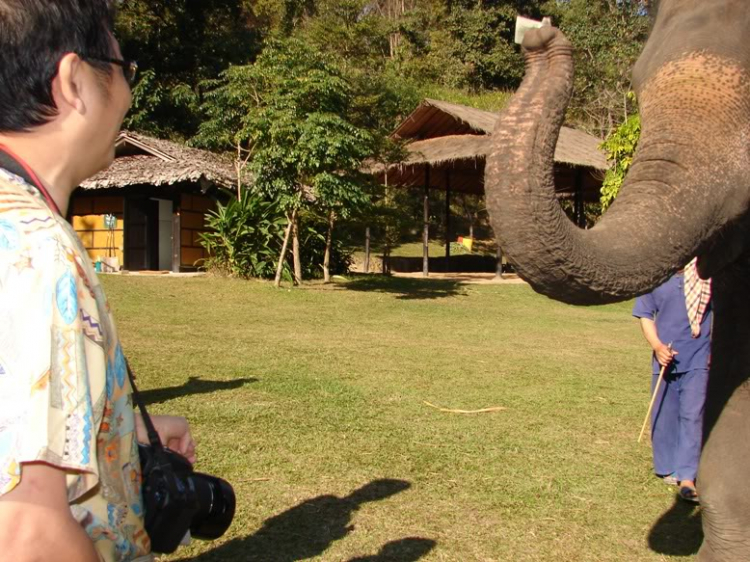 Caravan đến Ayutthaya – Chiang Mai - Bangkok – Koh Kong - 8 ngày! Caravan đến Ayutthaya – Chiang Mai - Bangkok – Koh Kong - 8 ngày!