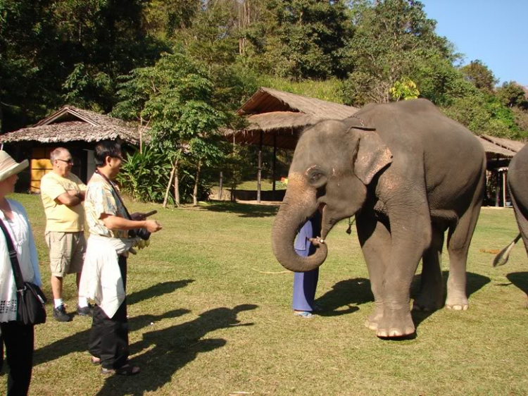 Caravan  đến Ayutthaya – Chiang Mai -  Bangkok – Koh Kong - 8 ngày!