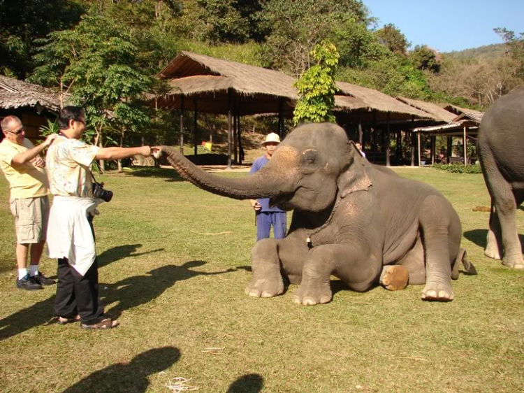 Caravan đến Ayutthaya – Chiang Mai - Bangkok – Koh Kong - 8 ngày! Caravan đến Ayutthaya – Chiang Mai - Bangkok – Koh Kong - 8 ngày!