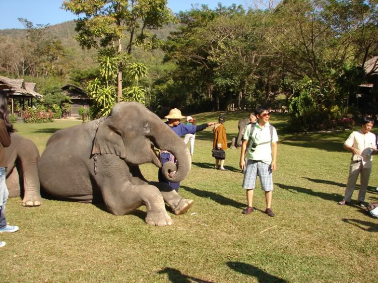 Caravan  đến Ayutthaya – Chiang Mai -  Bangkok – Koh Kong - 8 ngày!