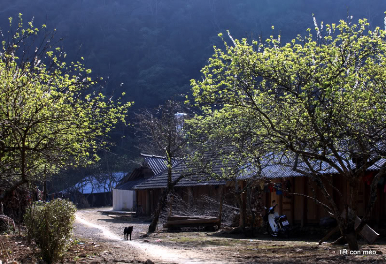 Ảnh vùng cao