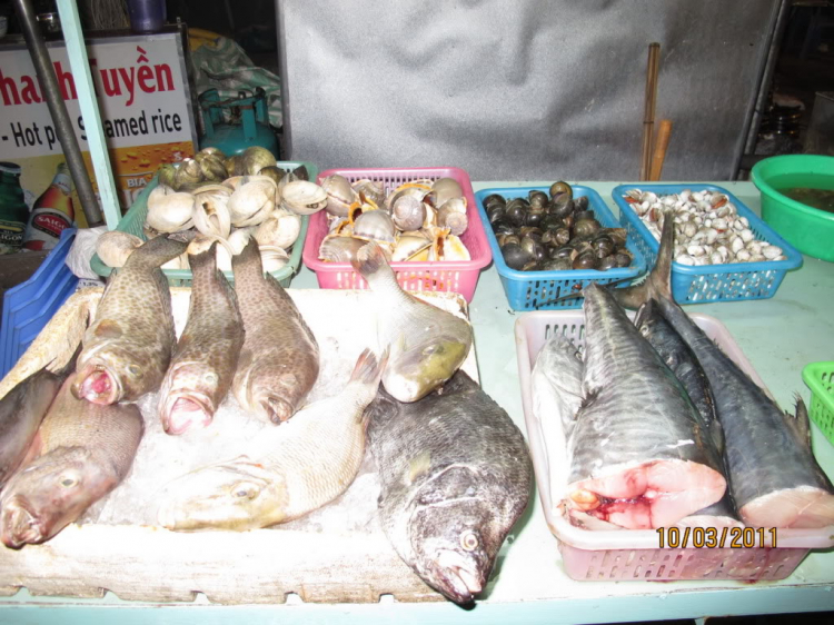 Vài hình ảnh đầu tiên của chuyến đi khám phá Phú Quốc Vài hình ảnh đầu tiên của chuyến đi khám phá Phú Quốc