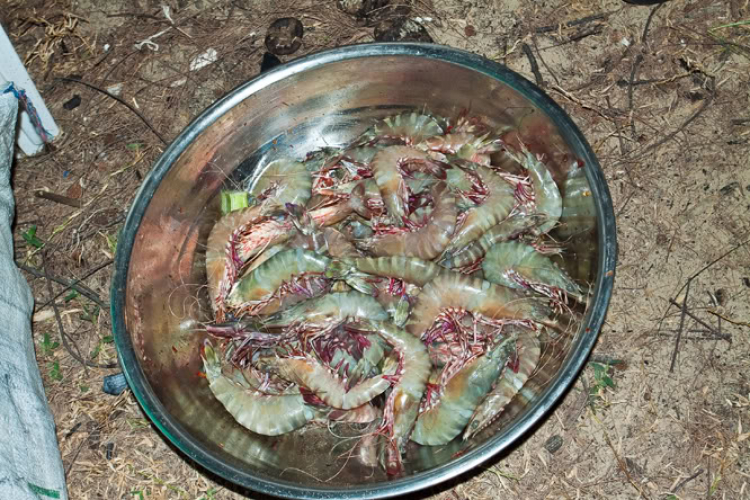 CHƯƠNG TRÌNH CARAVAN  HÀ TIÊN - PHÚ QUỐC  (UP HÌNH)