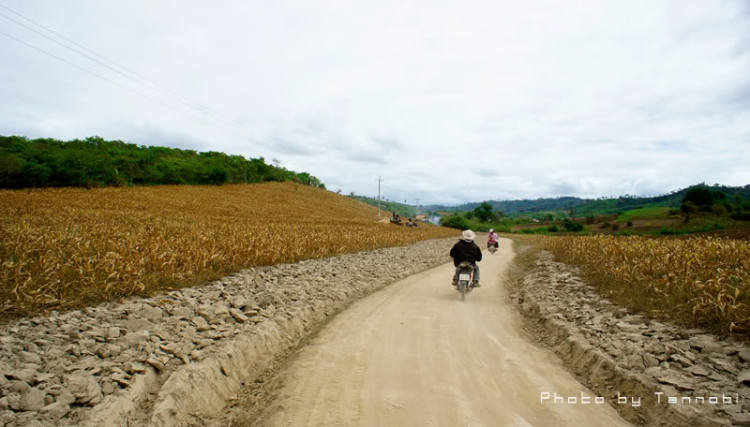 Có một nơi...