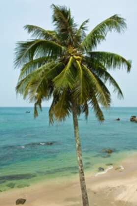 CHƯƠNG TRÌNH CARAVAN  HÀ TIÊN - PHÚ QUỐC  (UP HÌNH)