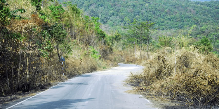 Cập nhật tình hình Quốc lộ 28 Di Linh - Phan Thiết và đường Đại ninh - Lương sơn