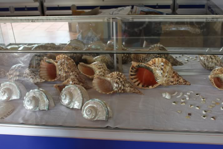 CHƯƠNG TRÌNH CARAVAN  HÀ TIÊN - PHÚ QUỐC  (UP HÌNH)