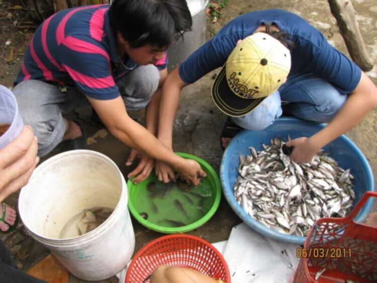 Mỗi ngày một chuyện.