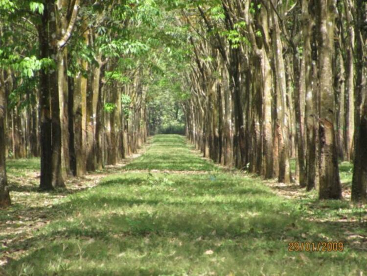 Mỗi ngày một chuyện.