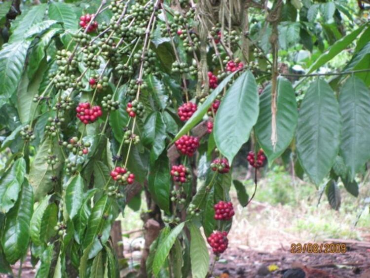 Mỗi ngày một chuyện.