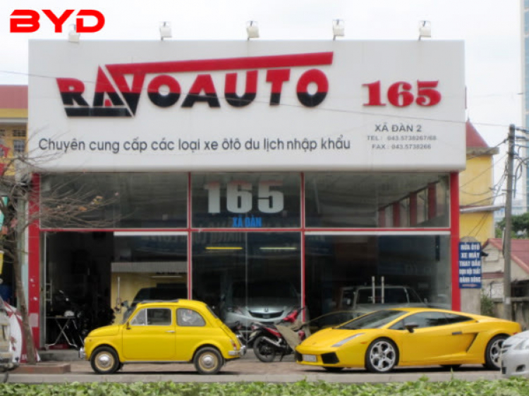 Bò Gallardo từ NAM ra BẮC