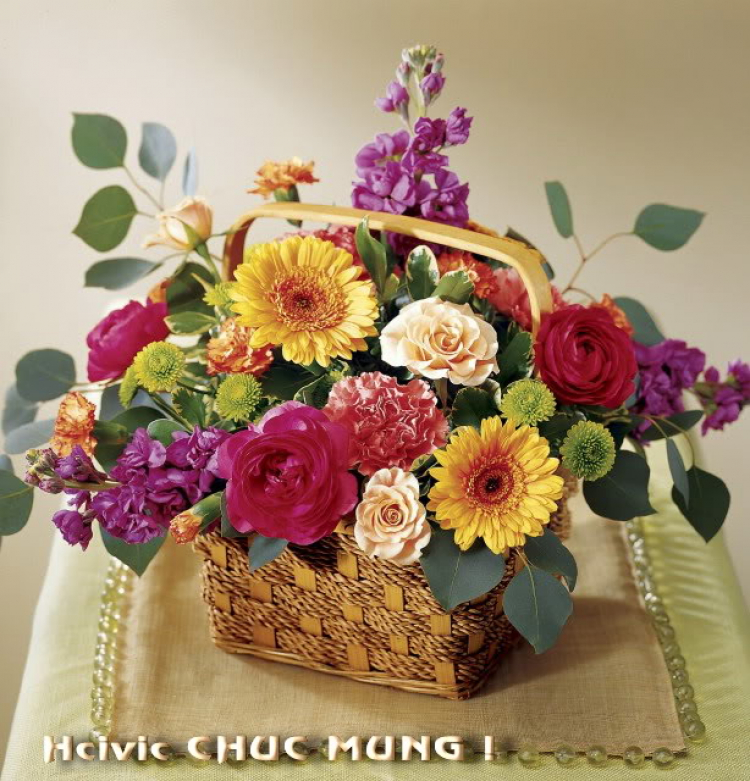 Bầu cử Hội Trưởng XNL 2011 Bầu cử Hội Trưởng XNL 2011