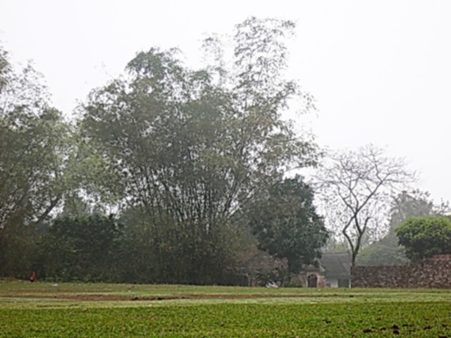 Asia kể chuyện... Asia kể chuyện...