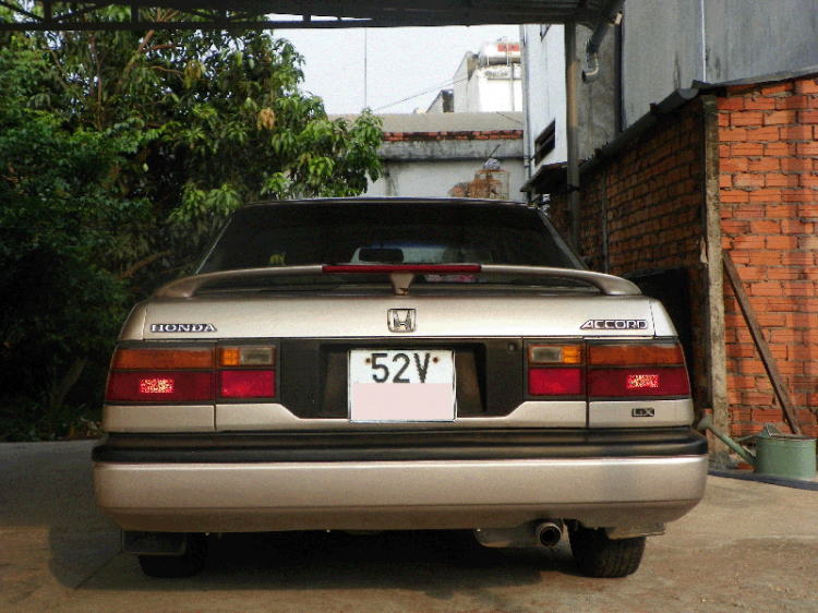 HCM - Cần tìm Accord 88-89 !!! HCM - Cần tìm Accord 88-89 !!!