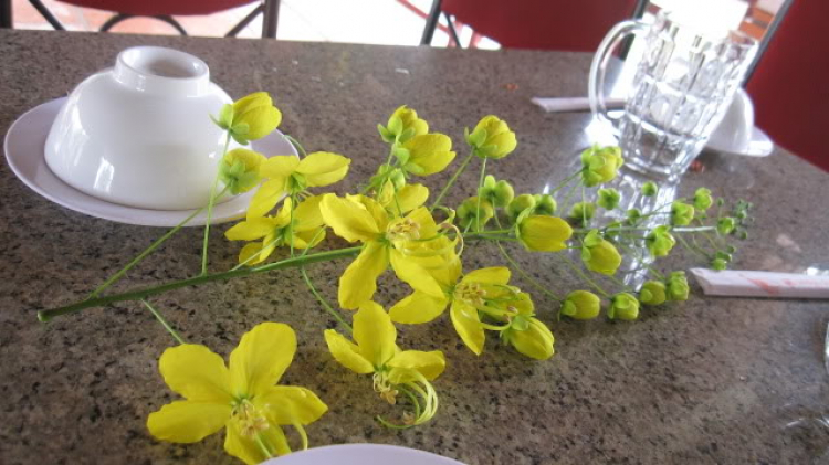 Gấp! Tập hợp XNL. Gấp! Tập hợp XNL.