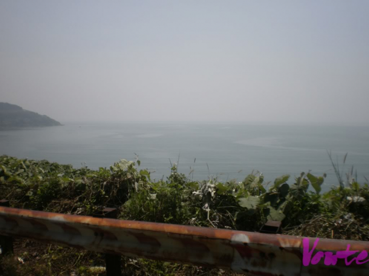 Em muốn khám phá bán đảo Sơn Trà - nhờ các bác tư vấn cho em Em muốn khám phá bán đảo Sơn Trà - nhờ các bác tư vấn cho em
