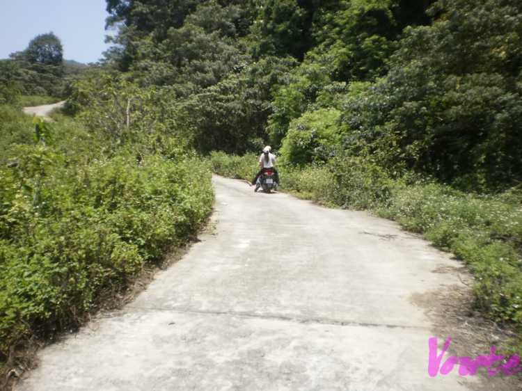 Em muốn khám phá bán đảo Sơn Trà - nhờ các bác tư vấn cho em Em muốn khám phá bán đảo Sơn Trà - nhờ các bác tư vấn cho em