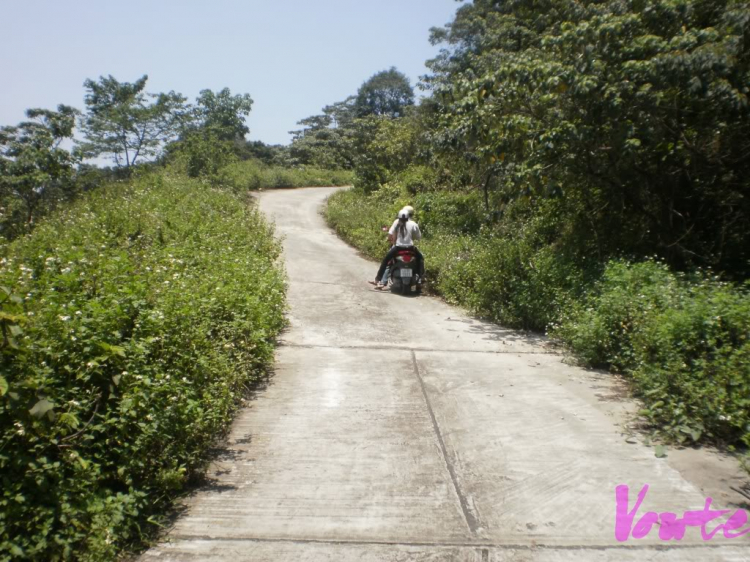 Em muốn khám phá bán đảo Sơn Trà - nhờ các bác tư vấn cho em Em muốn khám phá bán đảo Sơn Trà - nhờ các bác tư vấn cho em