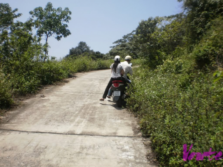 Em muốn khám phá bán đảo Sơn Trà - nhờ các bác tư vấn cho em Em muốn khám phá bán đảo Sơn Trà - nhờ các bác tư vấn cho em