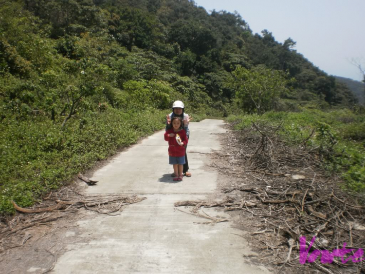 Em muốn khám phá bán đảo Sơn Trà - nhờ các bác tư vấn cho em Em muốn khám phá bán đảo Sơn Trà - nhờ các bác tư vấn cho em