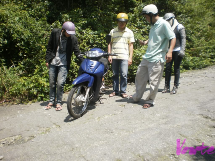 Em muốn khám phá bán đảo Sơn Trà - nhờ các bác tư vấn cho em Em muốn khám phá bán đảo Sơn Trà - nhờ các bác tư vấn cho em