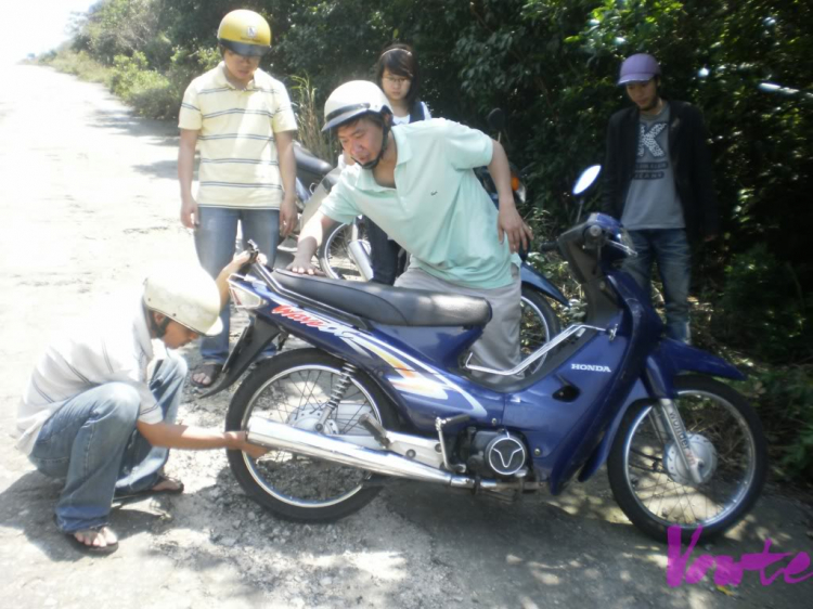 Em muốn khám phá bán đảo Sơn Trà - nhờ các bác tư vấn cho em Em muốn khám phá bán đảo Sơn Trà - nhờ các bác tư vấn cho em