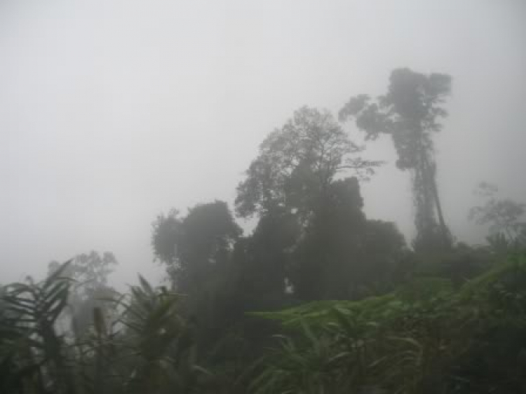 Asia kể chuyện...