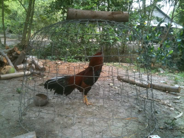 OFF tiền trạm Tiền Giang OFF tiền trạm Tiền Giang
