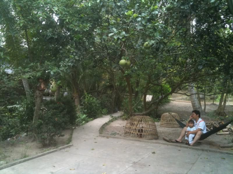 OFF tiền trạm Tiền Giang OFF tiền trạm Tiền Giang