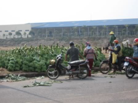 Asia kể chuyện...