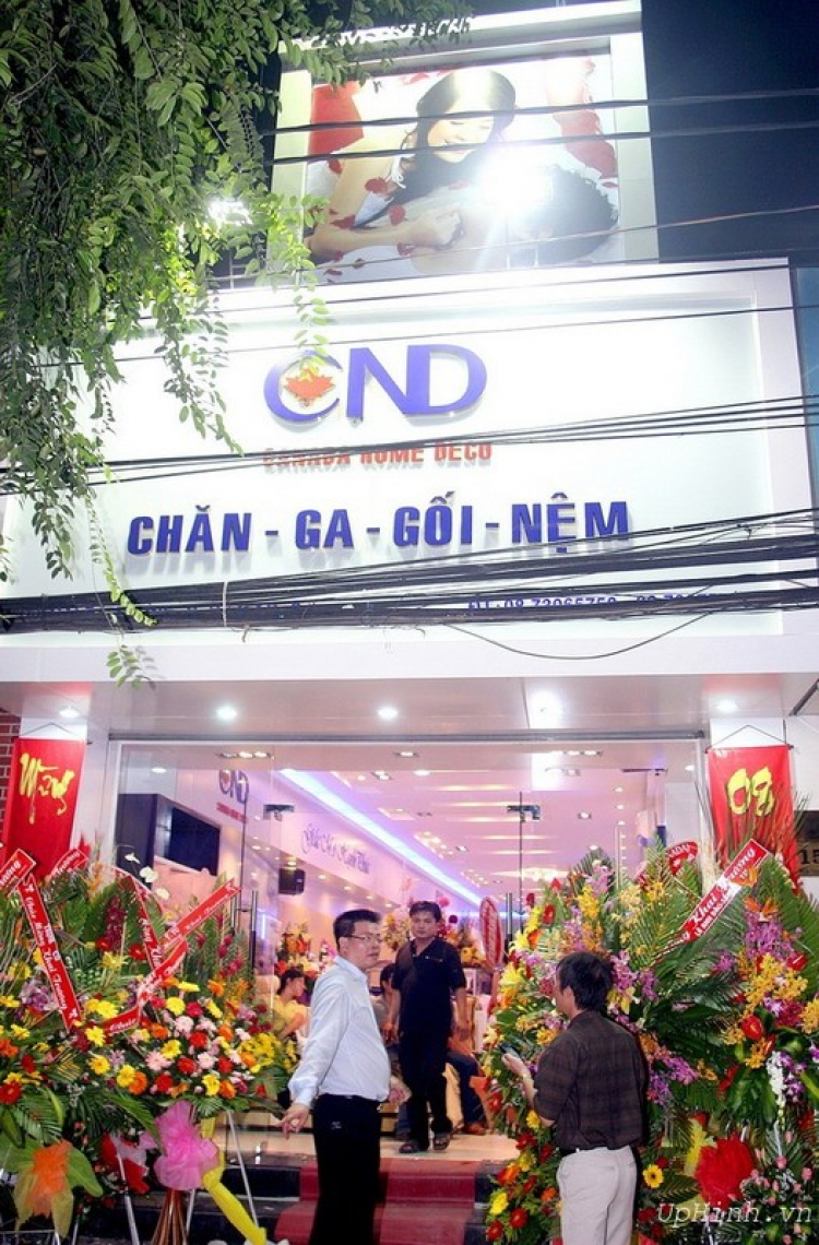 hợp tác làm trang trí nội thất nè các bác !