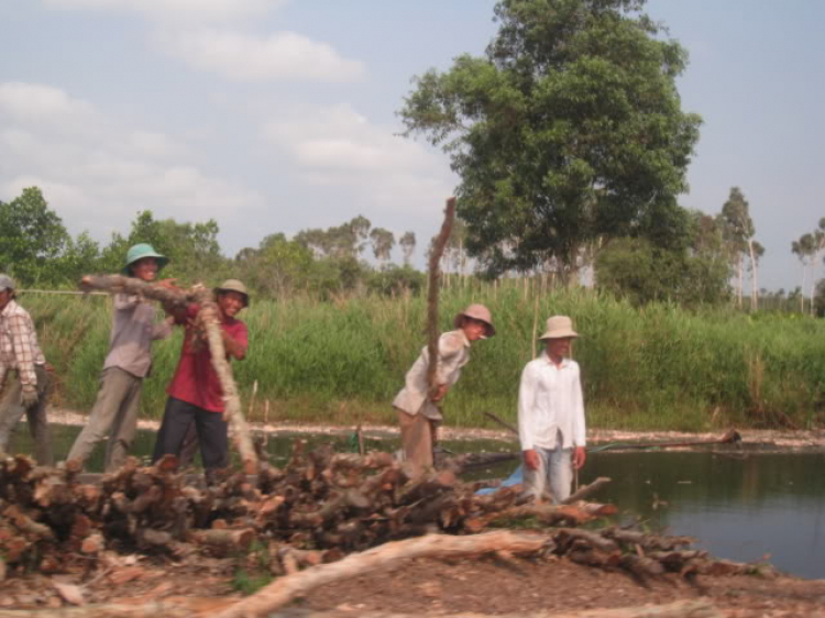 Về miền sông nước U Minh, Hòn Đá Bạc