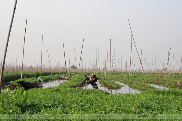 Phong cảnh thiên nhiên, cuộc sống trên hồ Inle - Myanmar