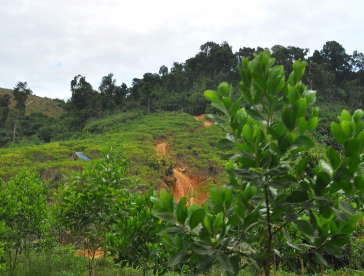 Lịch trình Hành Quân đường mòn Di Linh - Phan Thiết ngày 6/5/2011!