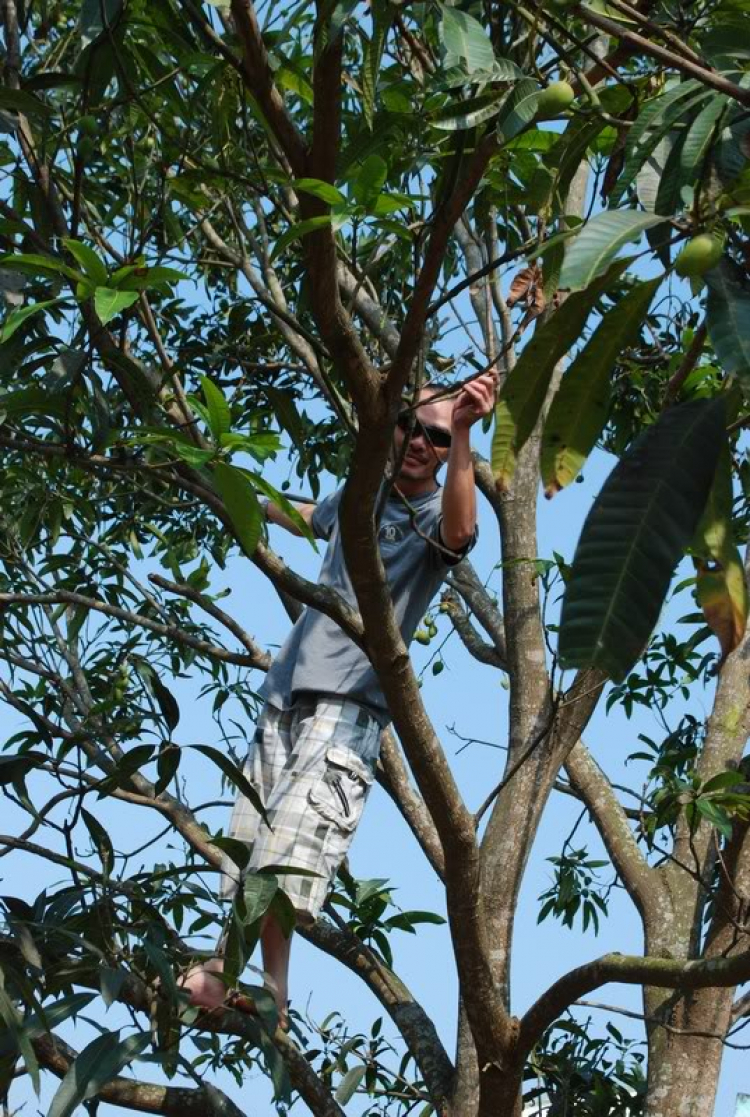 Hình ảnh ọp dã ngoại Cù Lao Chàm của OS Đà Nẵng + mở (23-24/04/2011). Hình ảnh ọp dã ngoại Cù Lao Chàm của OS Đà Nẵng + mở (23-24/04/2011).