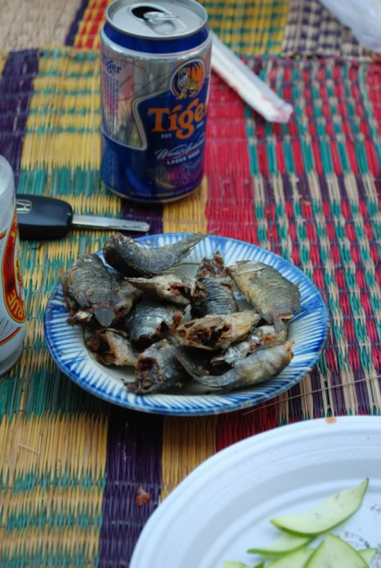 Hình ảnh ọp dã ngoại Cù Lao Chàm của OS Đà Nẵng + mở (23-24/04/2011). Hình ảnh ọp dã ngoại Cù Lao Chàm của OS Đà Nẵng + mở (23-24/04/2011).