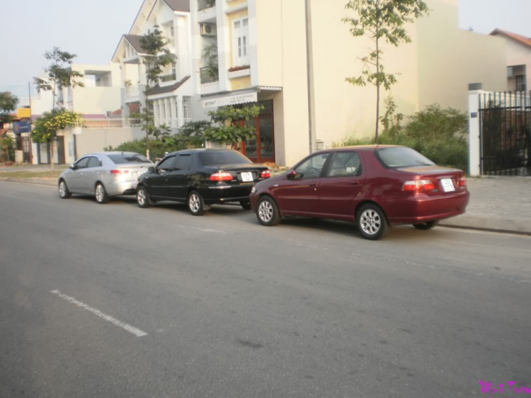 Fiat Albea 1.6 HLX ra đi với giá 200 !!! Fiat Albea 1.6 HLX ra đi với giá 200 !!!