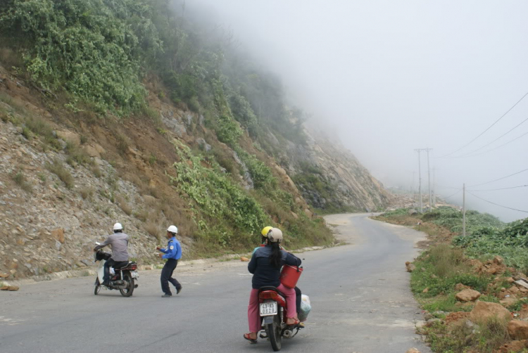 Em muốn khám phá bán đảo Sơn Trà - nhờ các bác tư vấn cho em