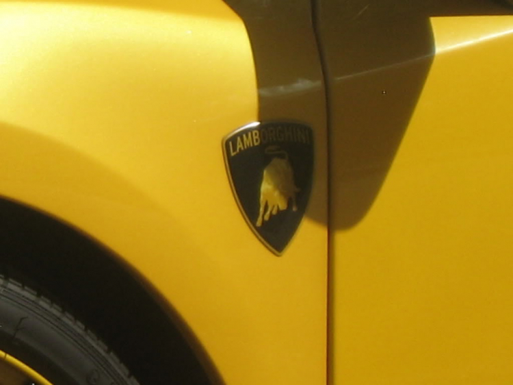 Lamborghini Gallardo SE & Lincoln limosine