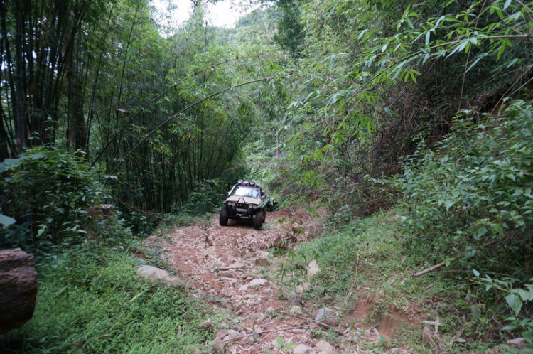 Trở lại con đường tơ lụa - Đại Ninh - Tam Bố