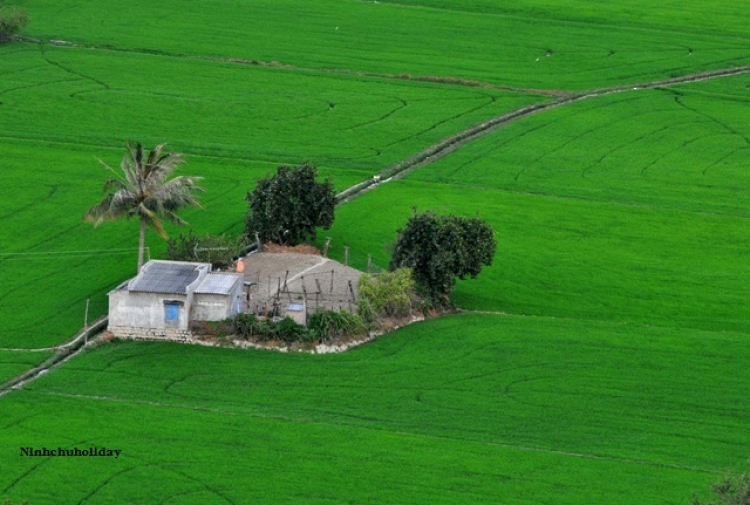 Hỗ Trợ Thông Tin Du Lịch Ninh Chử