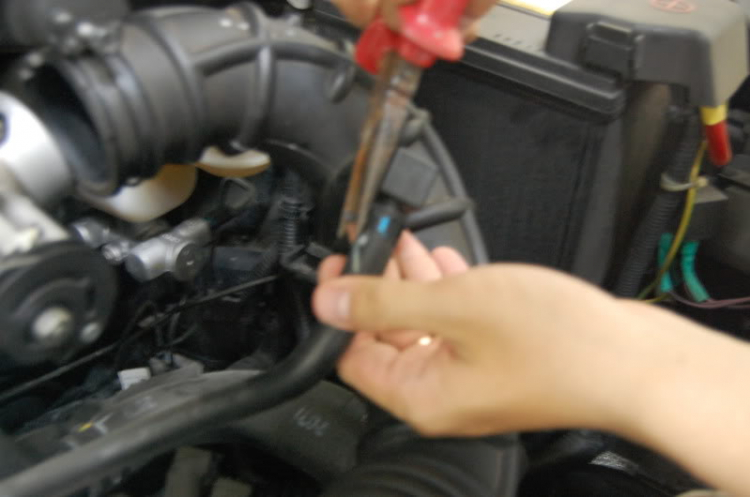Cảm nhận Morning nhập sau nhiều ngày!(upgrade p.24, intake p.25) Update 8/5/2011