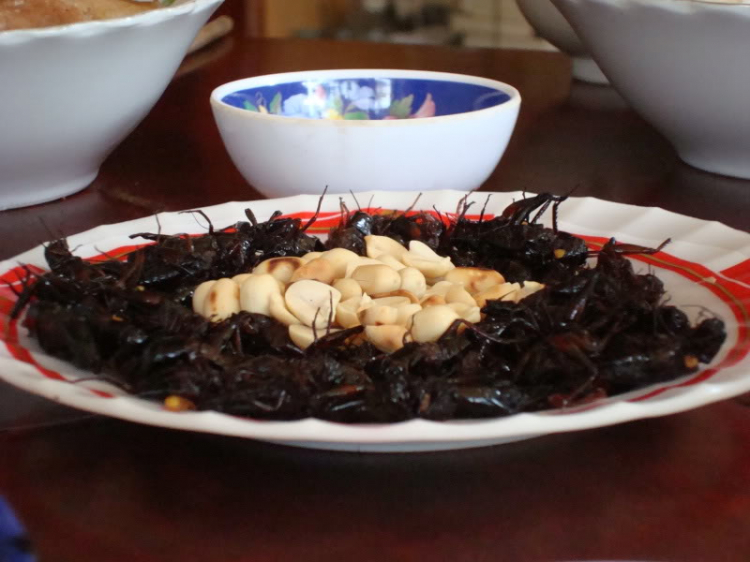 Ăn vặt ở Sài Gòn, làm sao cho "đã"?