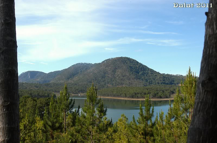 Góc ảnh dành cho Dalat