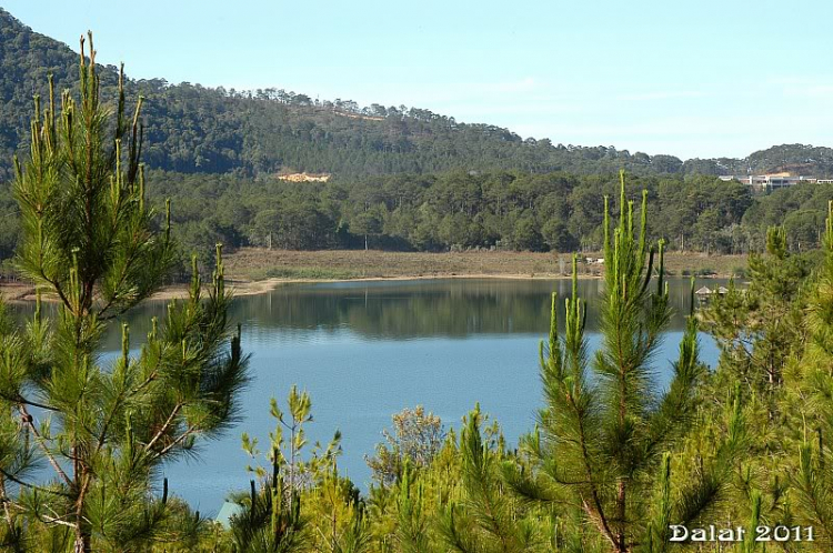 Góc ảnh dành cho Dalat