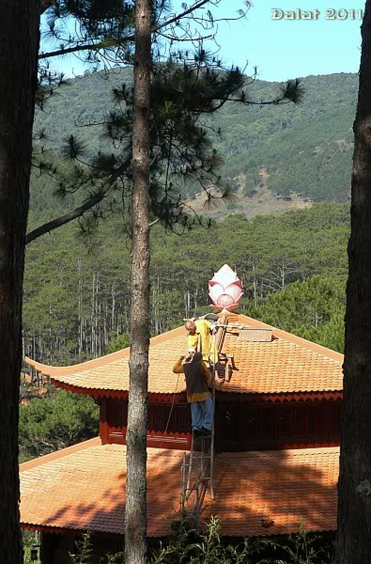 Góc ảnh dành cho Dalat Góc ảnh dành cho Dalat