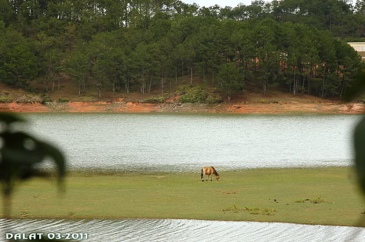 Góc ảnh dành cho Dalat