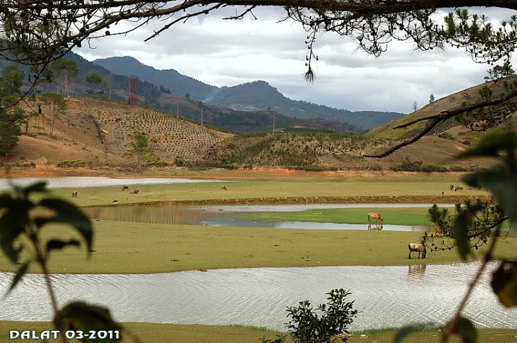 Góc ảnh dành cho Dalat